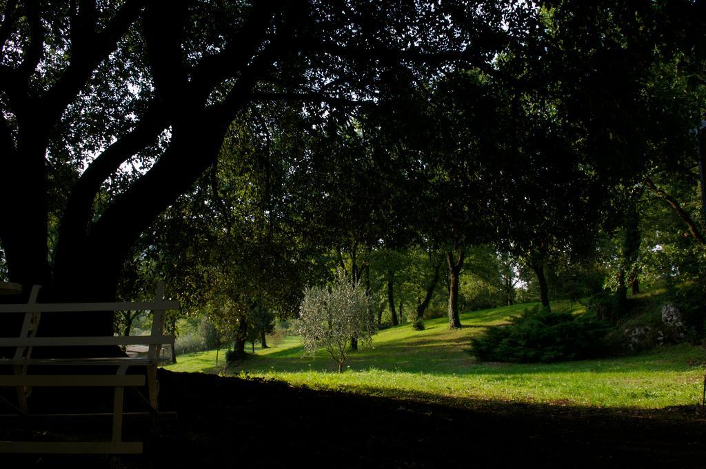 La Colonna Bed and Breakfast Montelanico Buitenkant foto